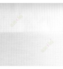 White color vertical lines and horizontal textured stripes and transparent net finished backgrounds zebra blind